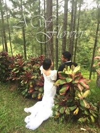 Hillside Wedding Photo Shoot